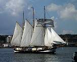 sail033.jpg